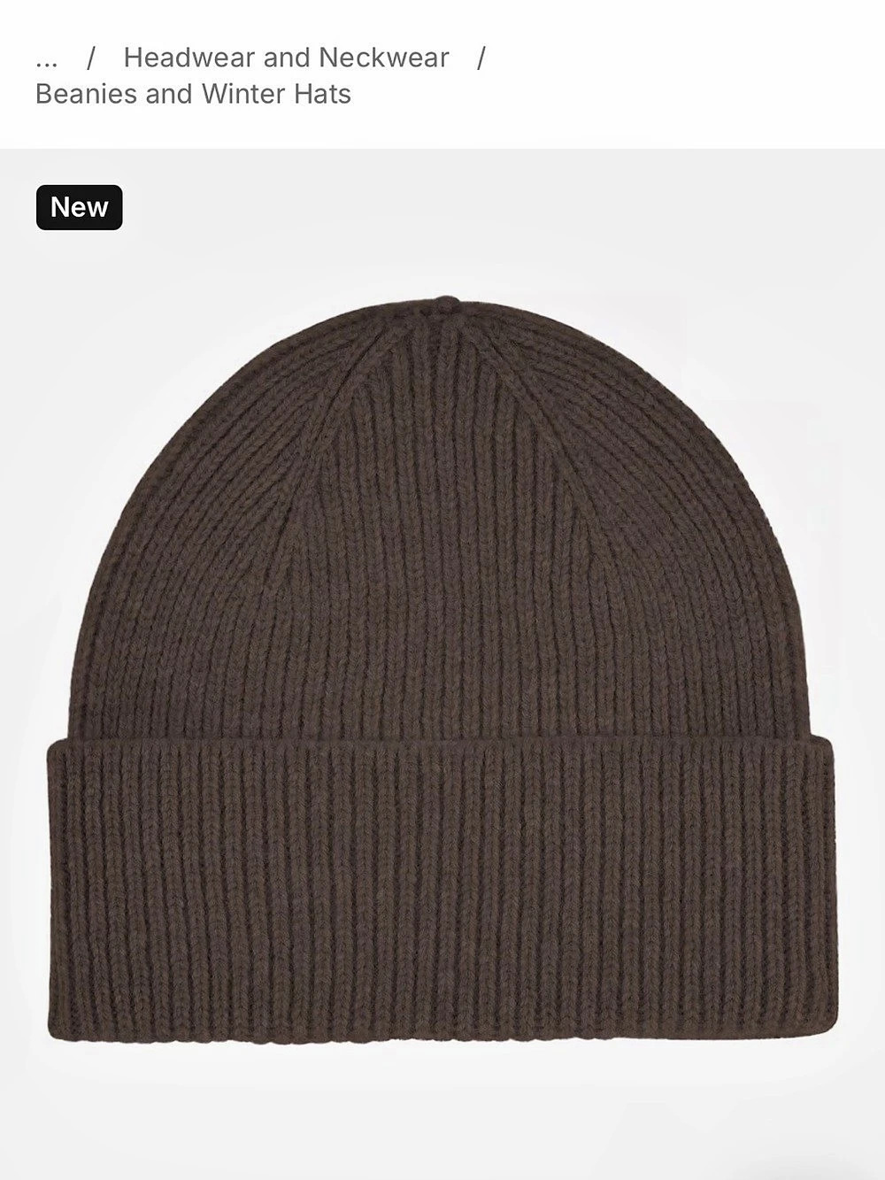 NWOT Colourful Standard Beanie Brown